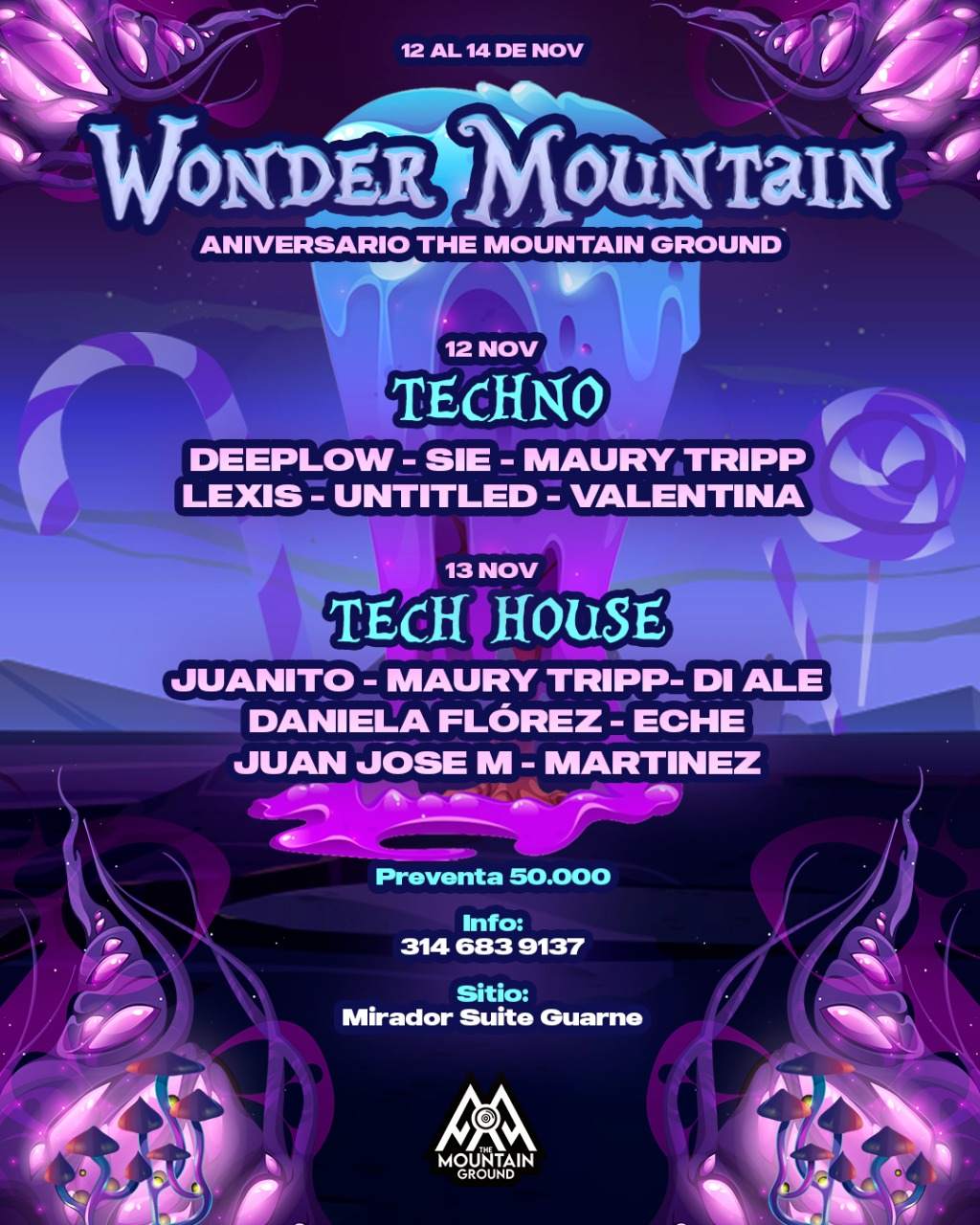 Wonder Mountain Techno - フライヤー裏