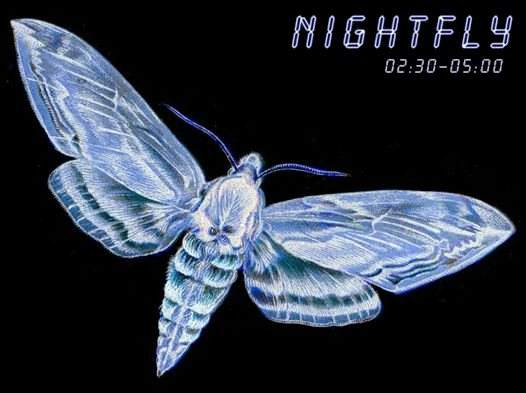 Nightly - Página frontal