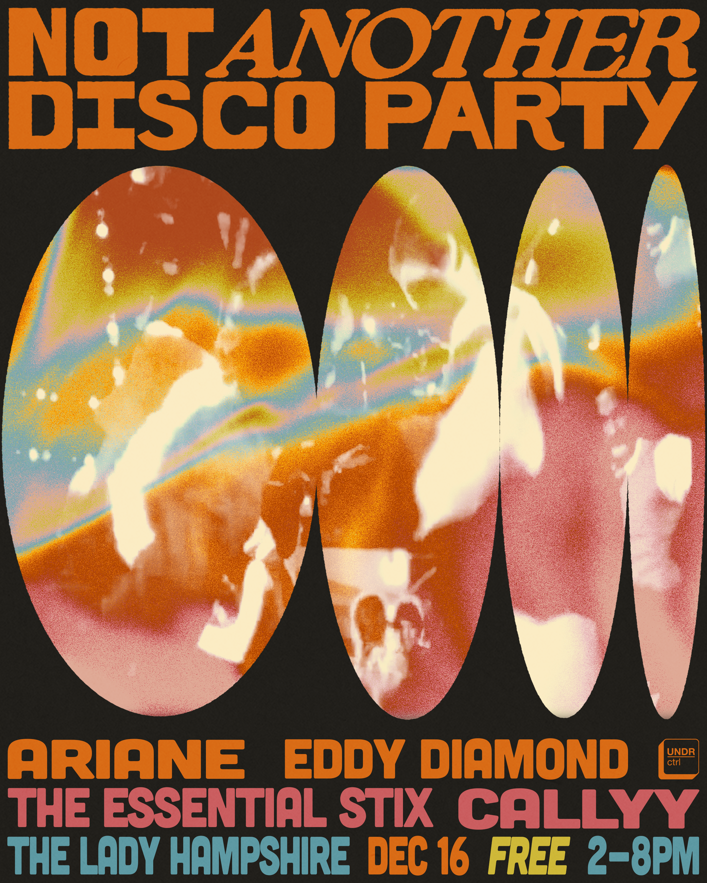 Not Another Disco Party - The Lady Hampshire - Página frontal