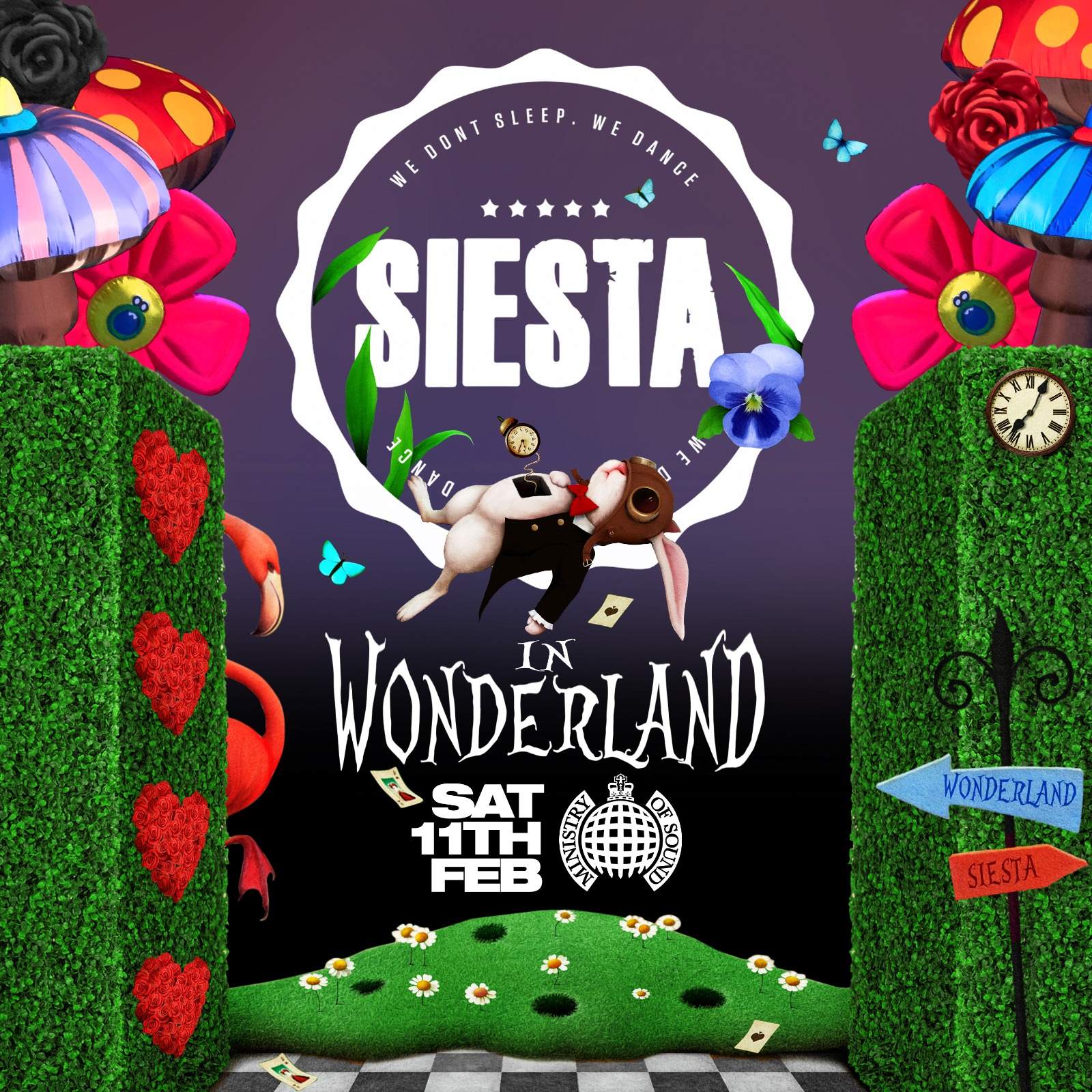 Siesta In Wonderland - フライヤー表