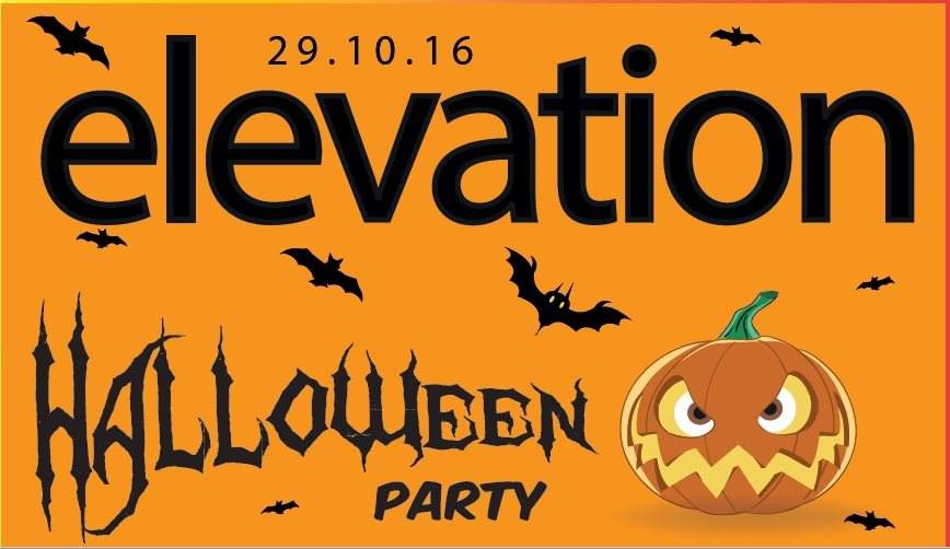 Elevation Halloween All Dayer & After Party - フライヤー裏