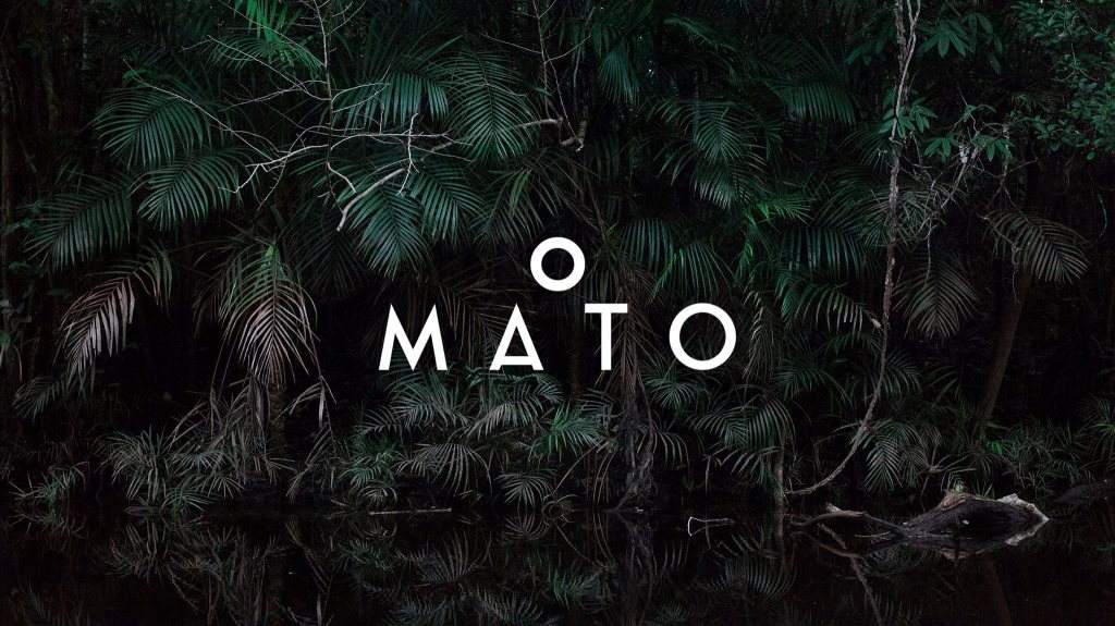 The O Mato Experience 2019 - Página frontal