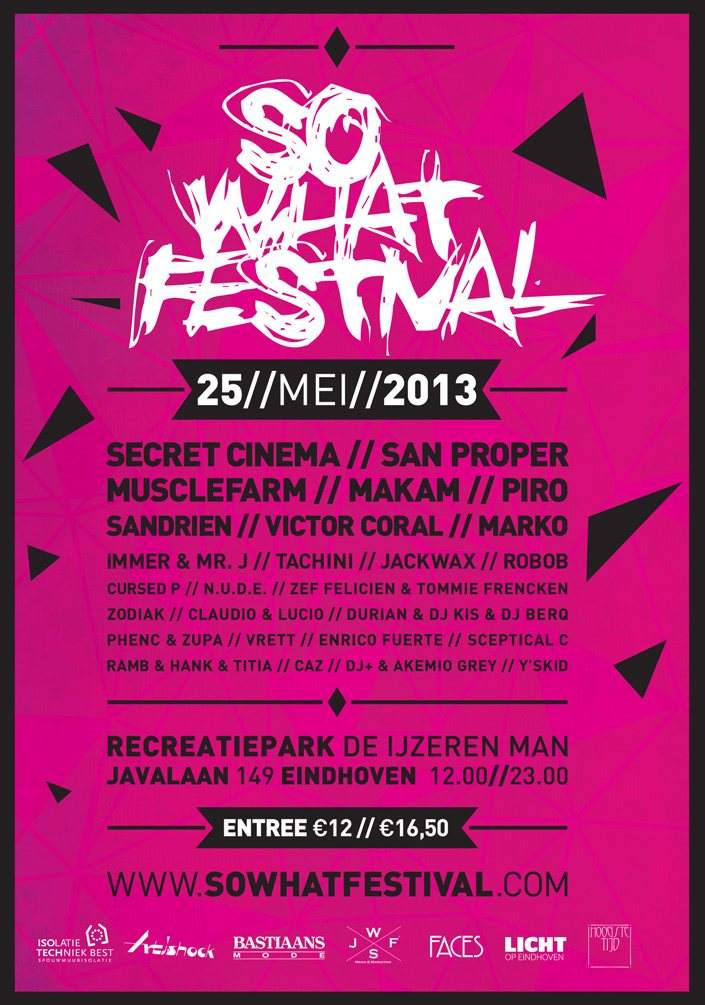 So What Festival 2013 - フライヤー表