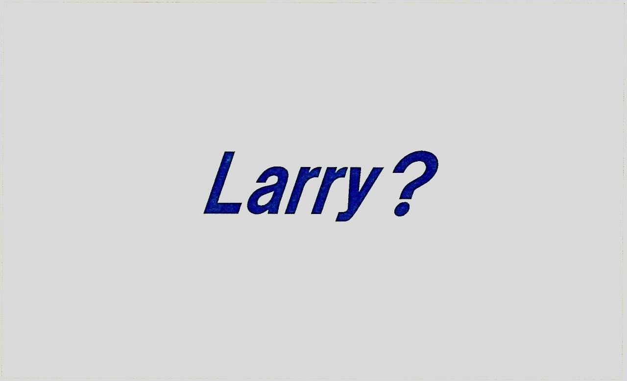 Larry?? Vol.11 - フライヤー表