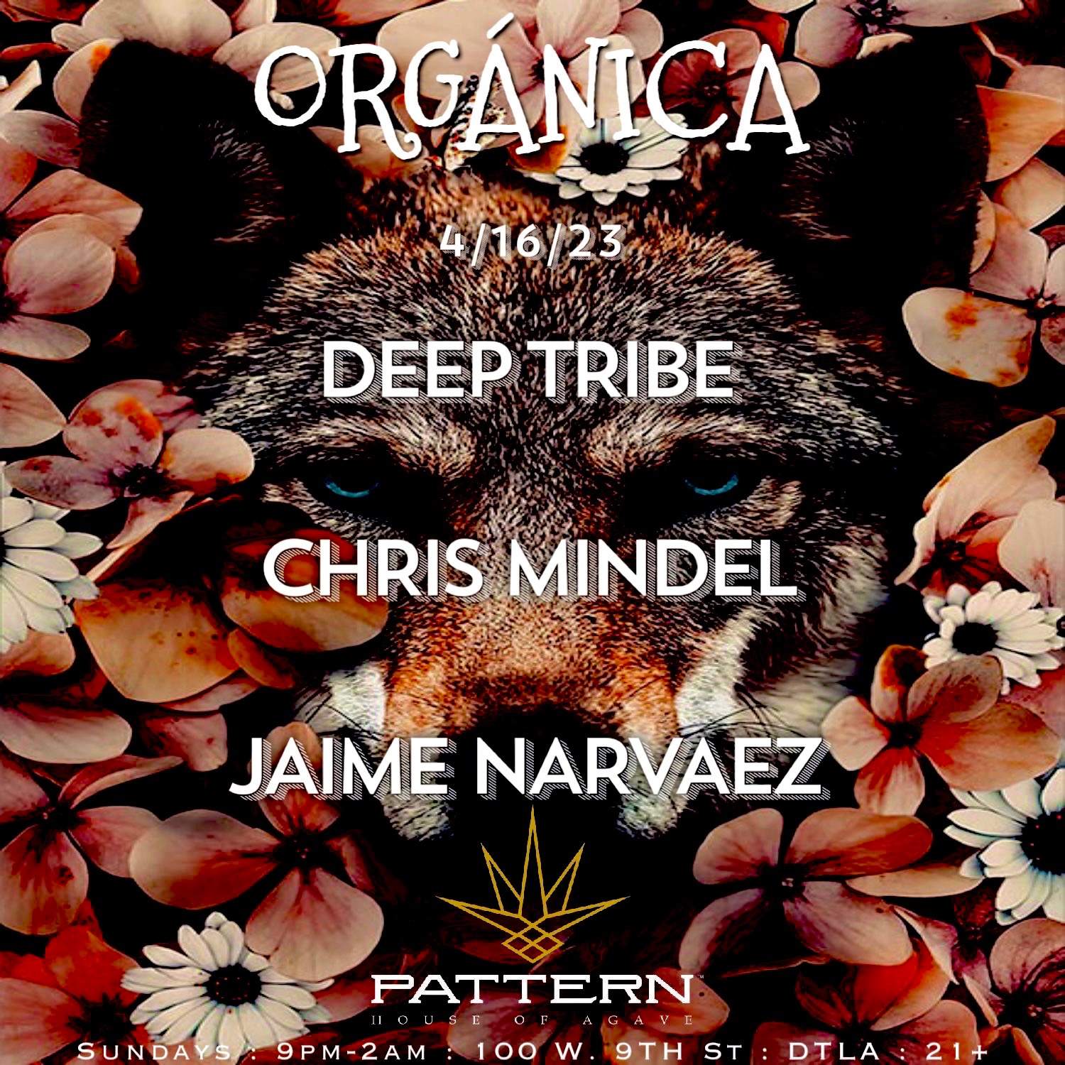 ORGÁNICA: Deep Tribe, Chris Mindel & Jaime Narvaez - フライヤー表