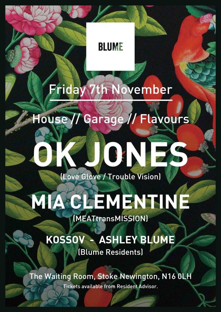 Blume presents OK Jones & Mia Clementine Jones - Página frontal