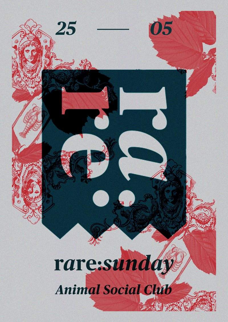 Rare:Sunday - Página frontal
