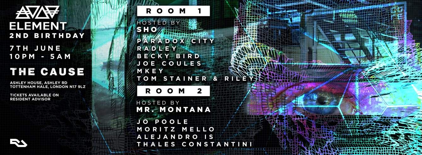 Element 2nd Birthday at The Cause, London