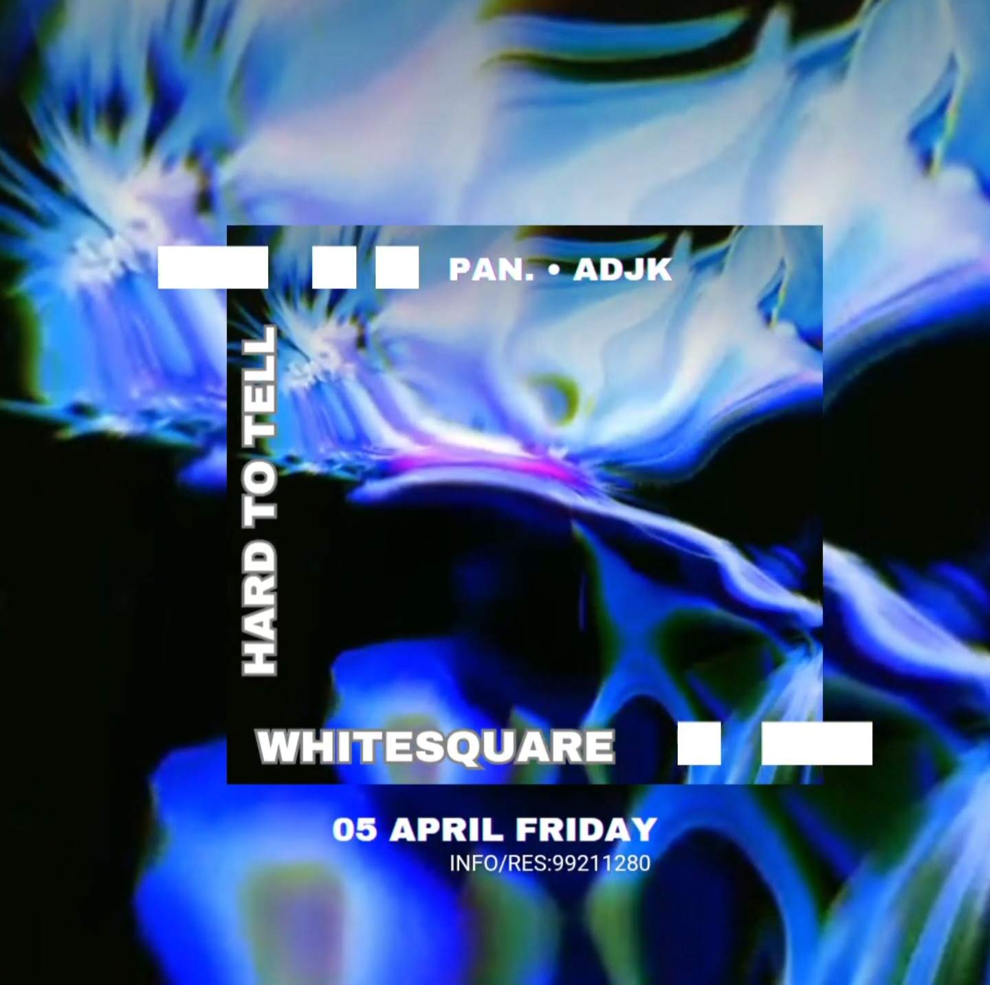 Digital Tunes W Whitesquare & Hard To Tell - フライヤー表