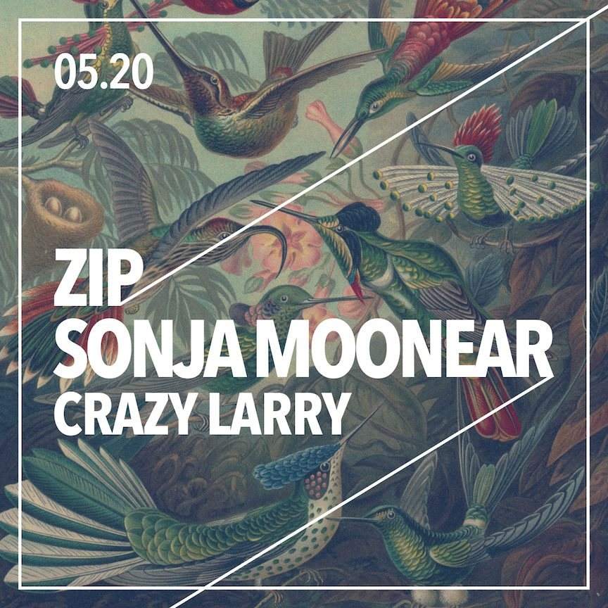 Zip + Sonja Moonear - Página frontal