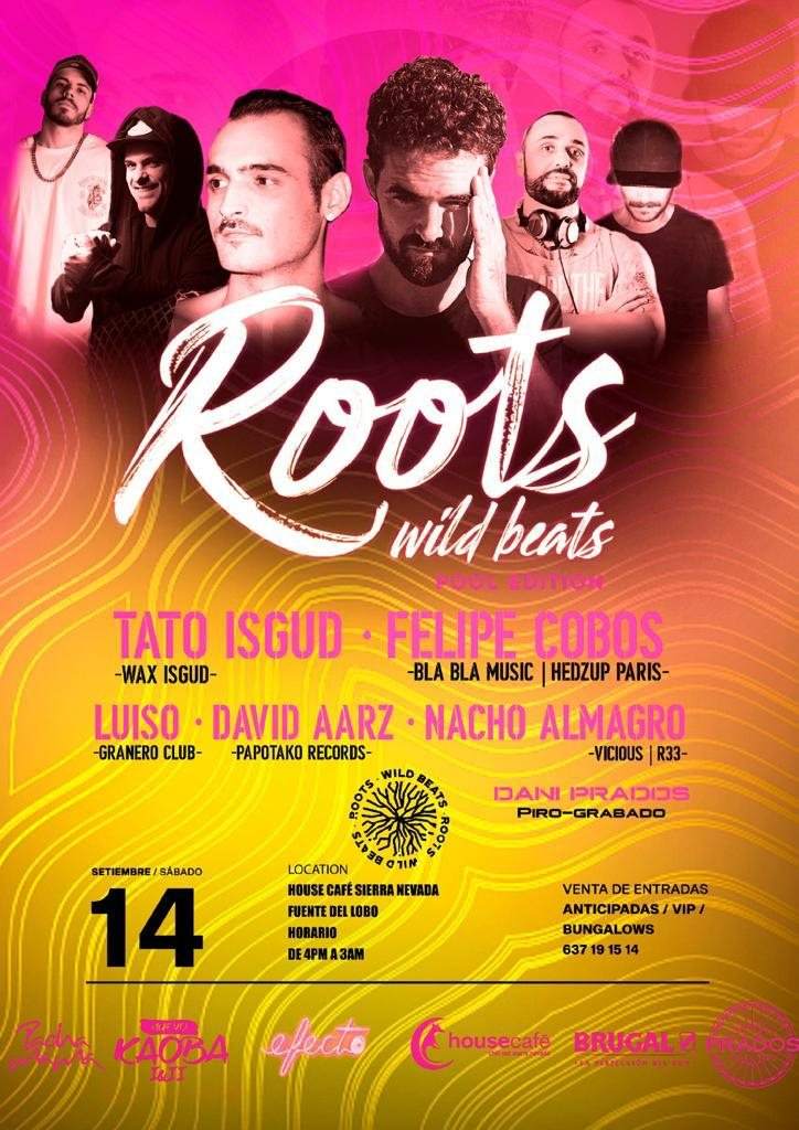 Roots Wild Beats // Pool Edition - フライヤー表