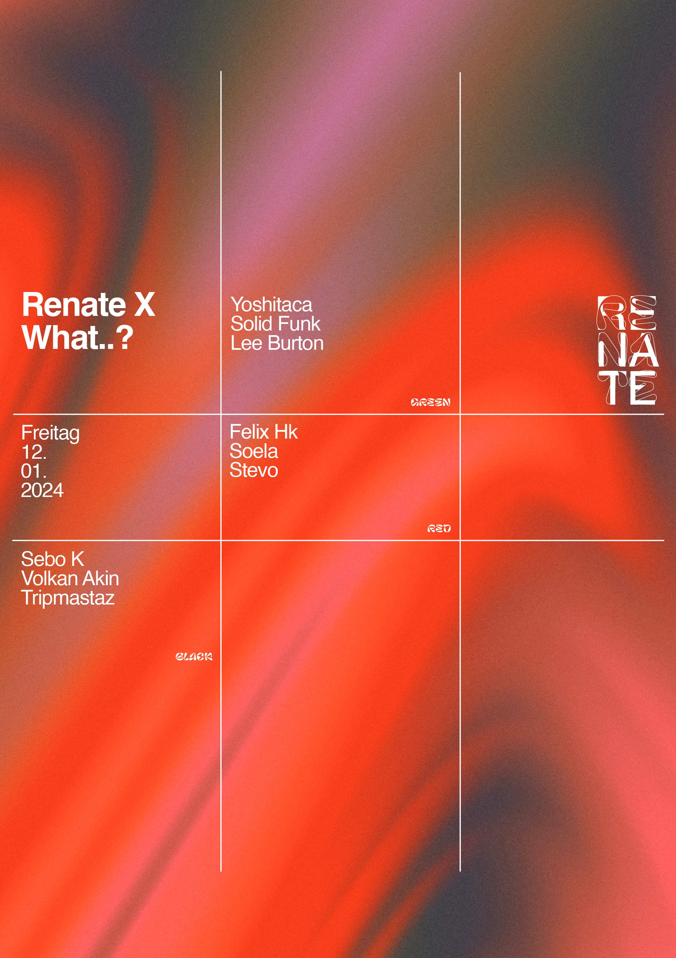 Renate X What - フライヤー表
