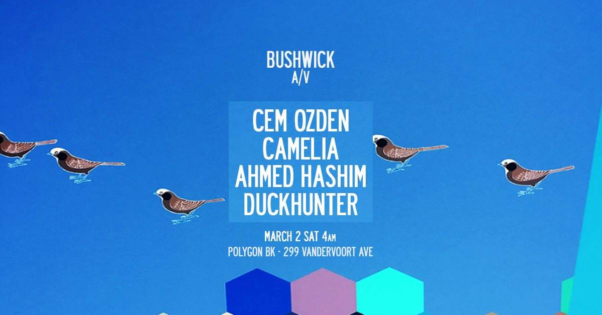 Bushwick A/V Wintergarden: Cem Ozden / Camelia / Ahmed Hashim - フライヤー表