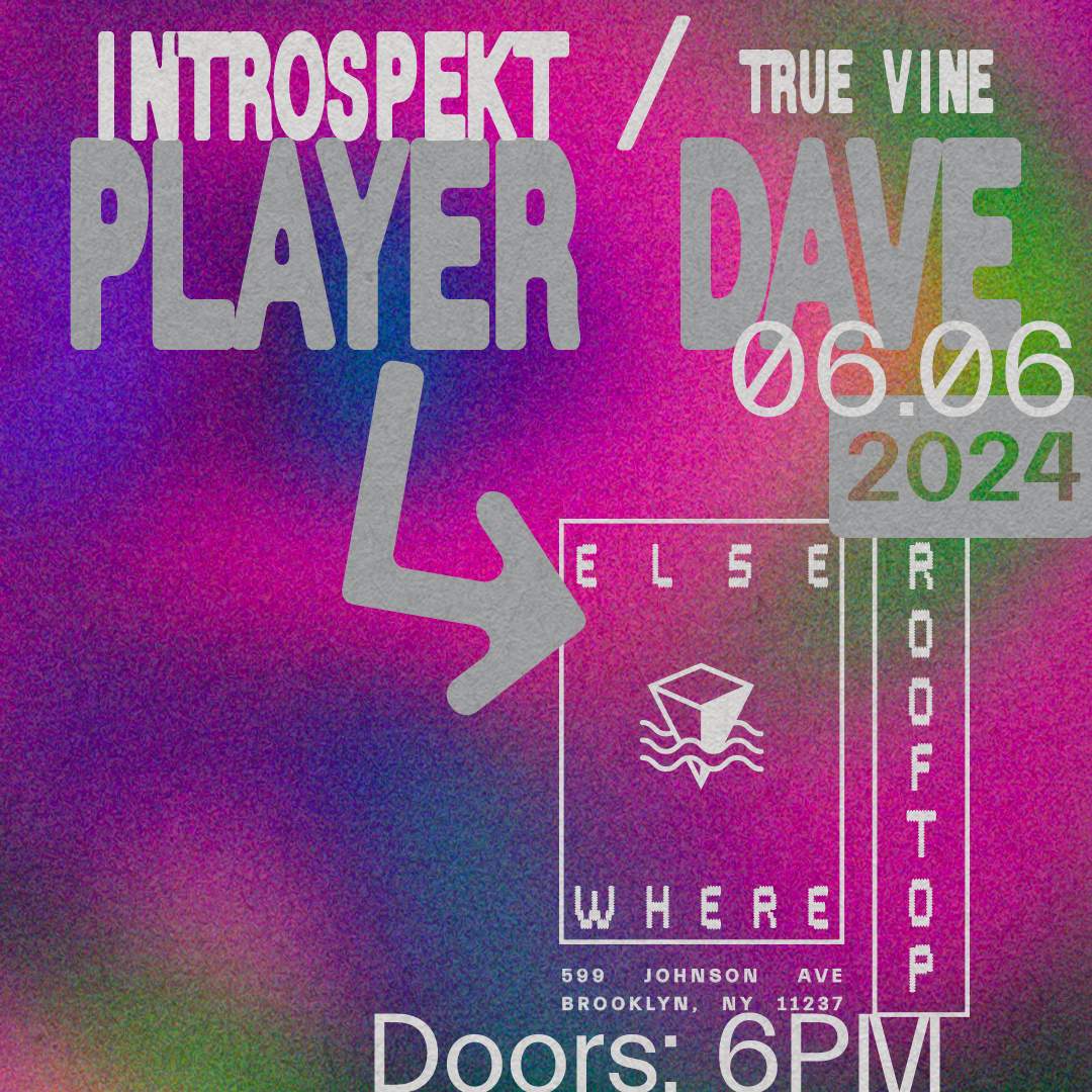 Player Dave, Introspekt, True Vine - フライヤー表