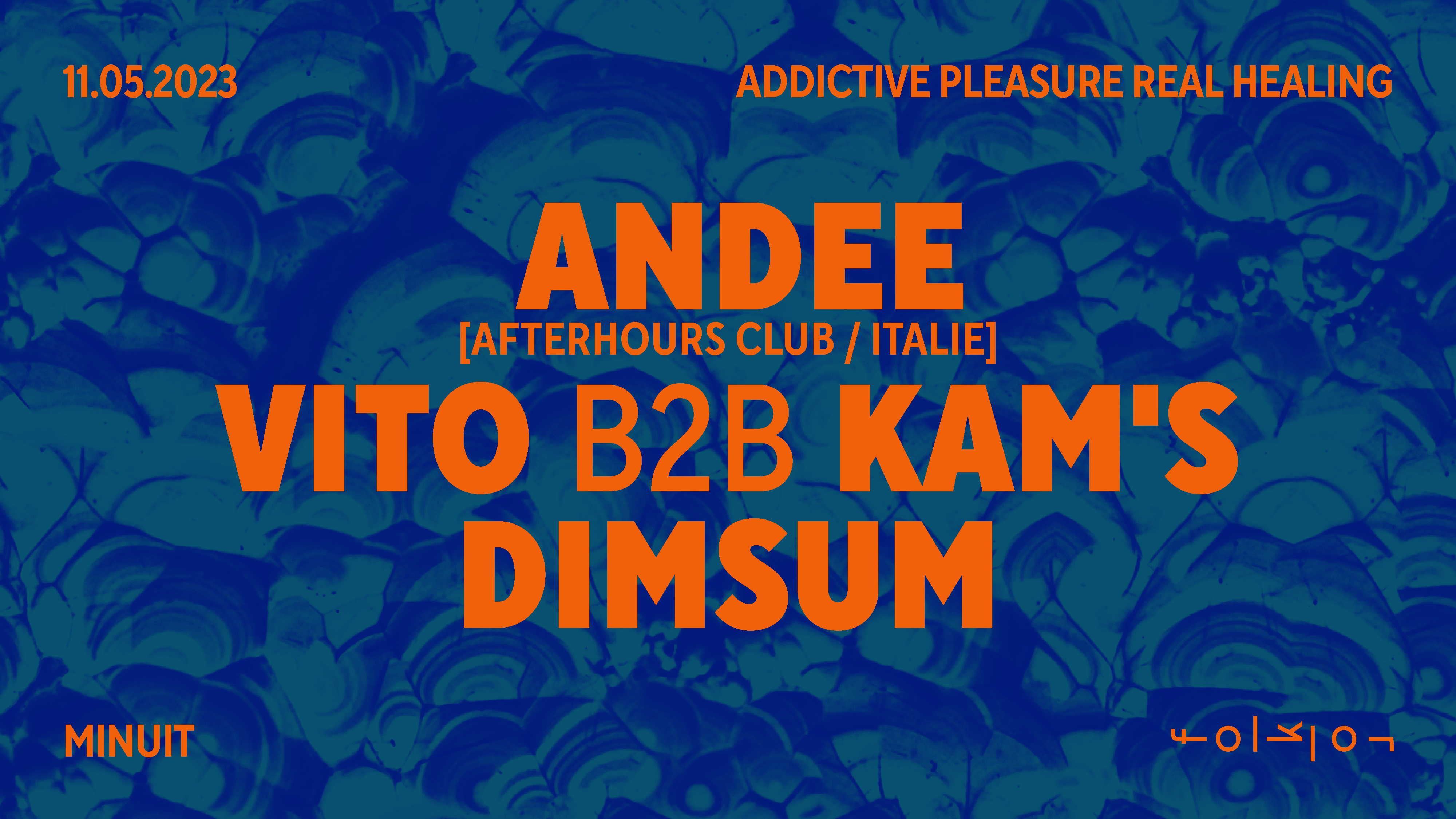 Addictive Pleasure Real Healing /// Andee - Vito x Kam's - DimSum - フライヤー表
