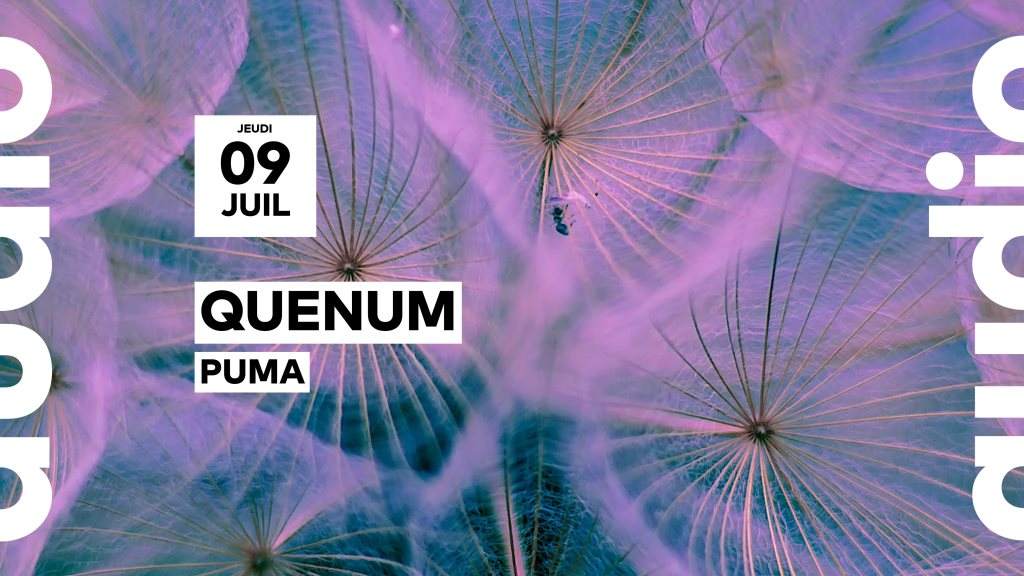 Quenum • Puma - フライヤー表