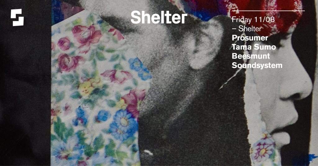 Shelter; Prosumer, Tama Sumo, Beesmunt Soundsystem - Página frontal