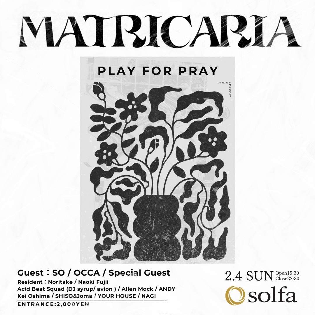 MATRICARIA PLAY for PRAY - フライヤー裏