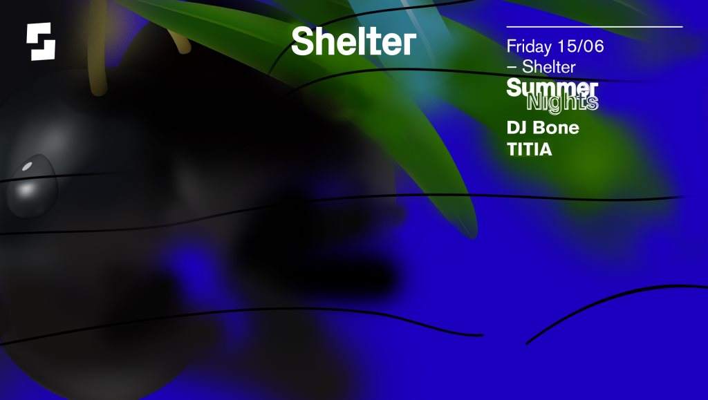 Shelter Summer Nights; DJ Bone presents with DJ Bone, TITIA - Página frontal