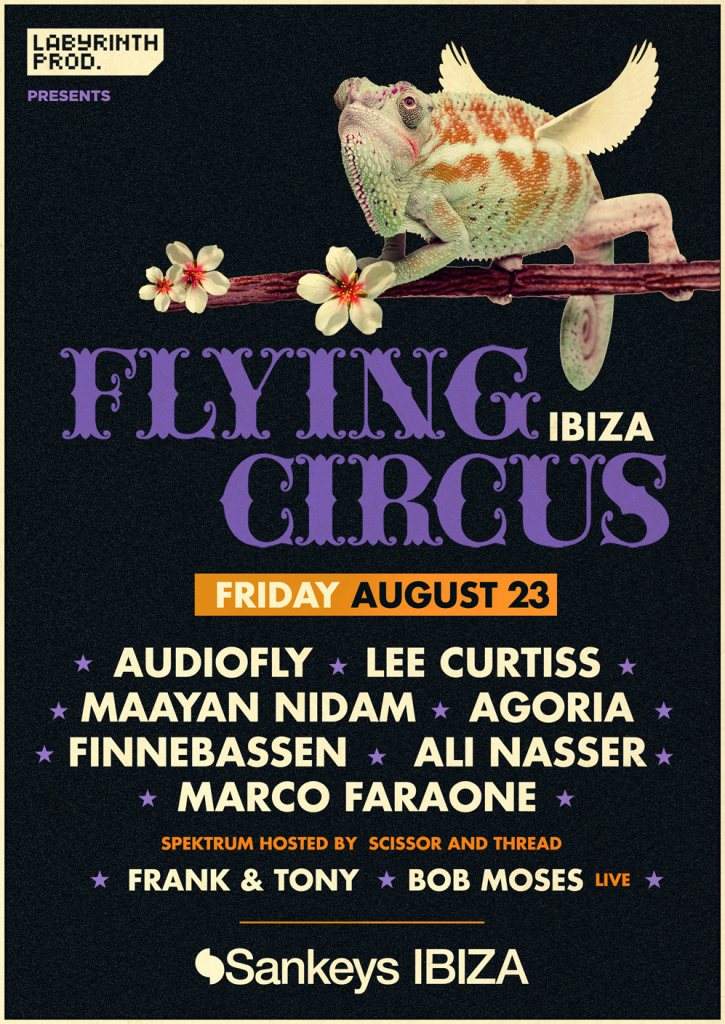 Flying Circus - Página frontal