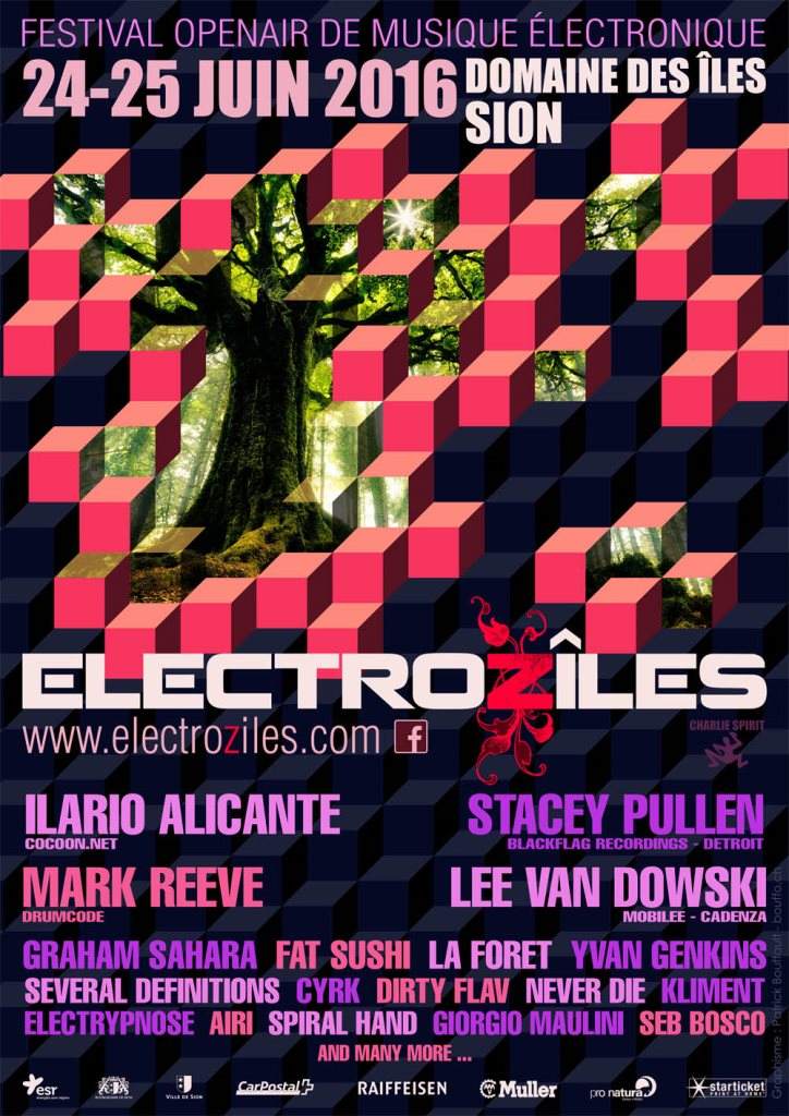 Electroziles 2016 - フライヤー表
