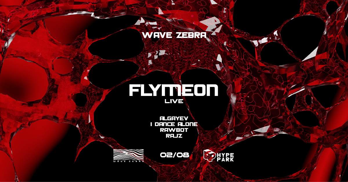 Wave Zebra: Flymeon - Hype Park at Hype Park, Krakow