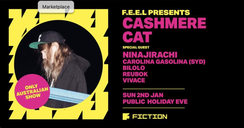 Feel ft Cashmere Cat (Only Aus Show) Ninajirachi - フライヤー表