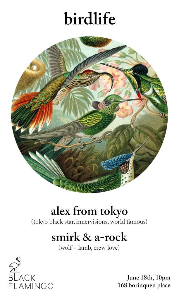 Birdlife with Alex From Tokyo - Página frontal