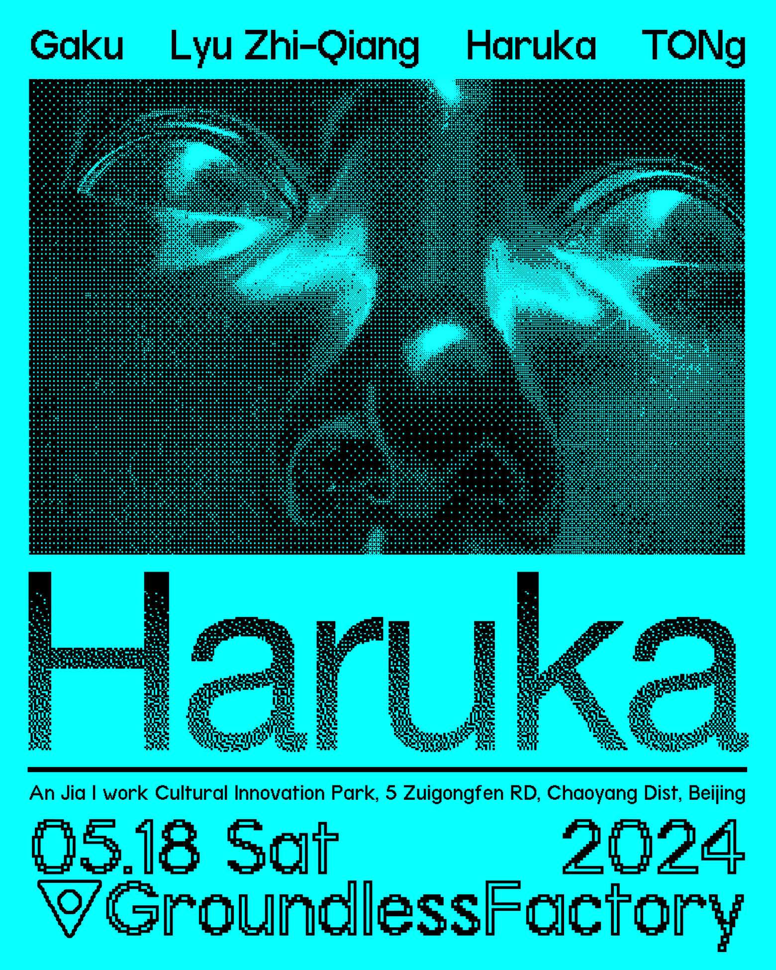 Japanese Underground Leader - Haruka - Psychedelic Snorkeling - フライヤー表