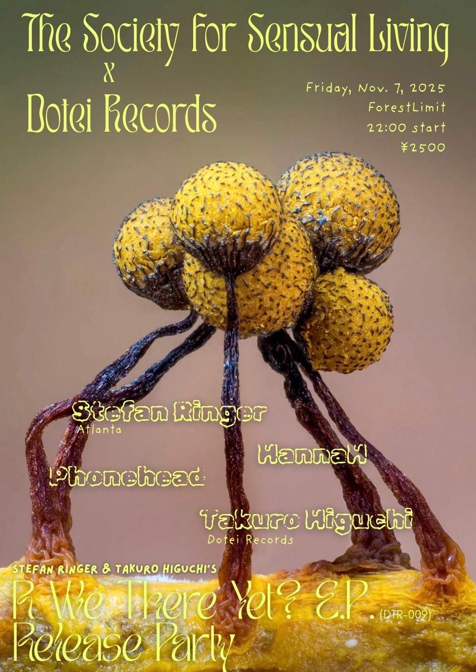 R We There Yet? EP (DTR-009) release party at Forestlimit, Tokyo