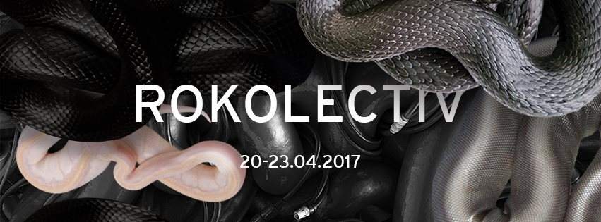 Rokolectiv Festival 2017 - フライヤー表