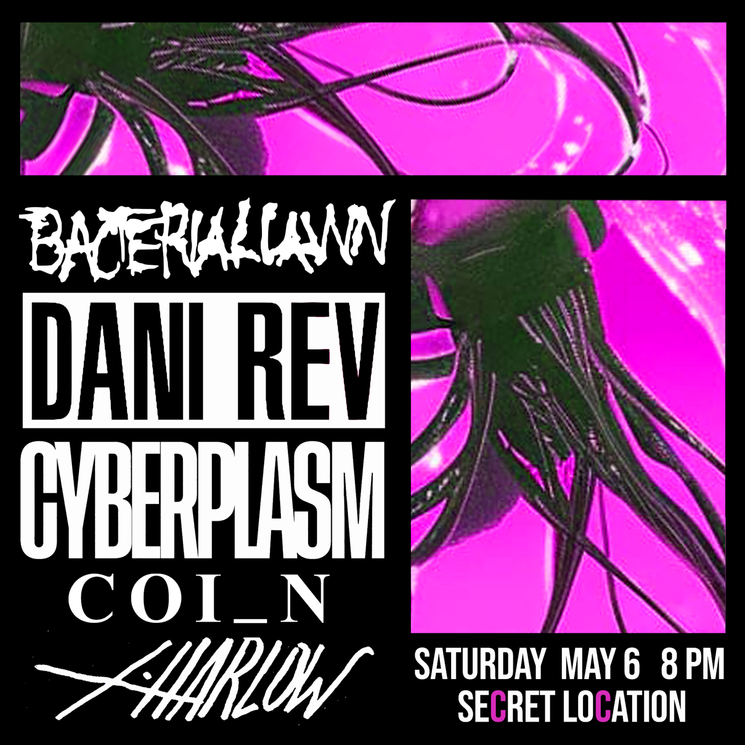 Bacterial Lawn / Dani Rev / Cyberplasm / COI_N / X. Harlow - Página frontal