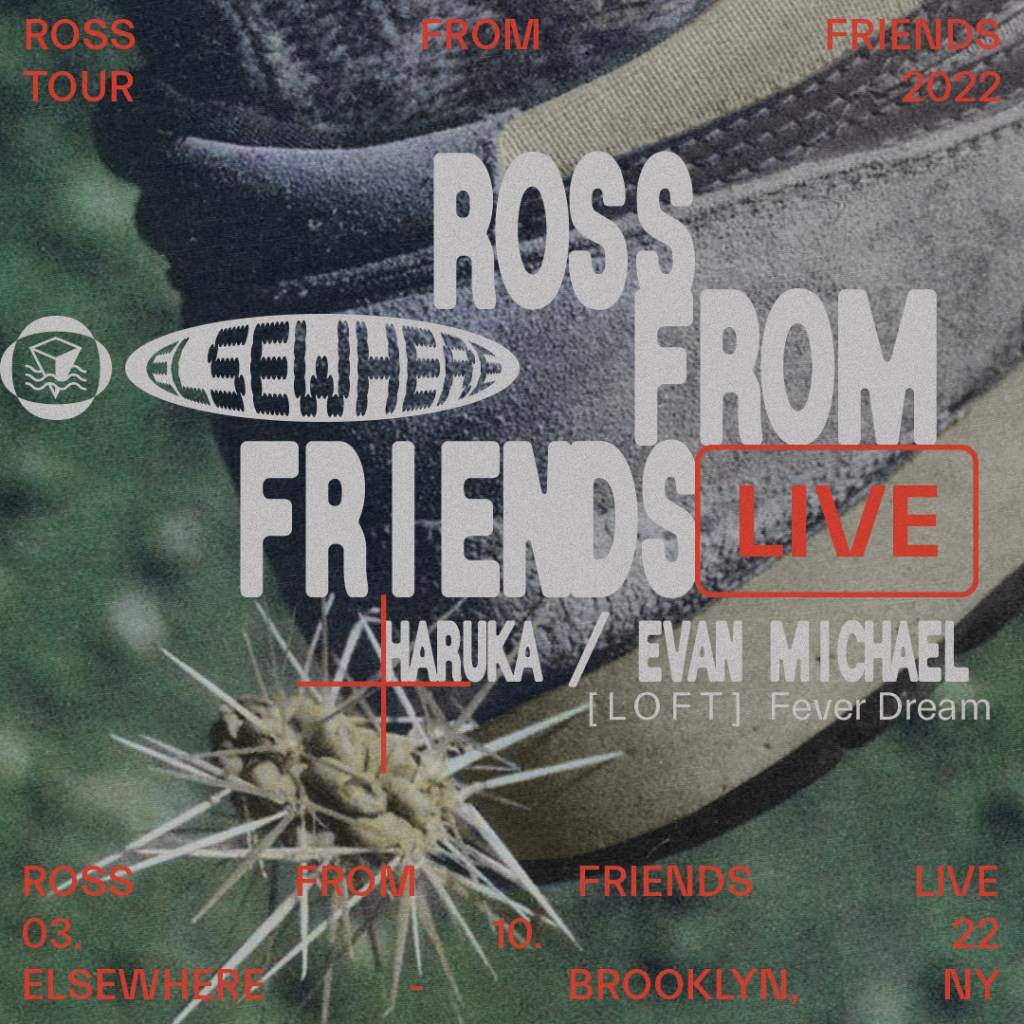 Ross From Friends, Haruka, Evan Michael, Fever Dream - Página trasera