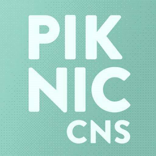 Piknic Électronik Cannes #2 - フライヤー表