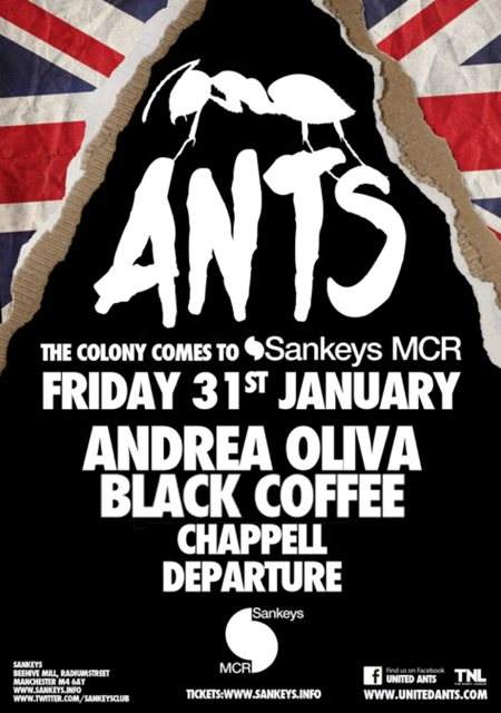 Ants with Andrea Oliva, Black Coffee, Chappell - Página frontal