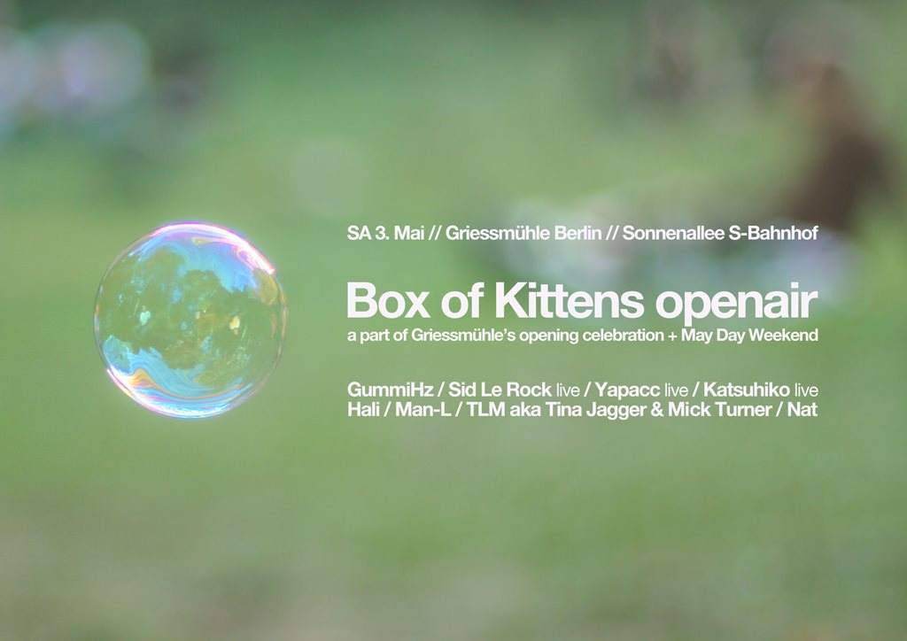 Box of Kittens Openair During Opening Weekend - フライヤー表