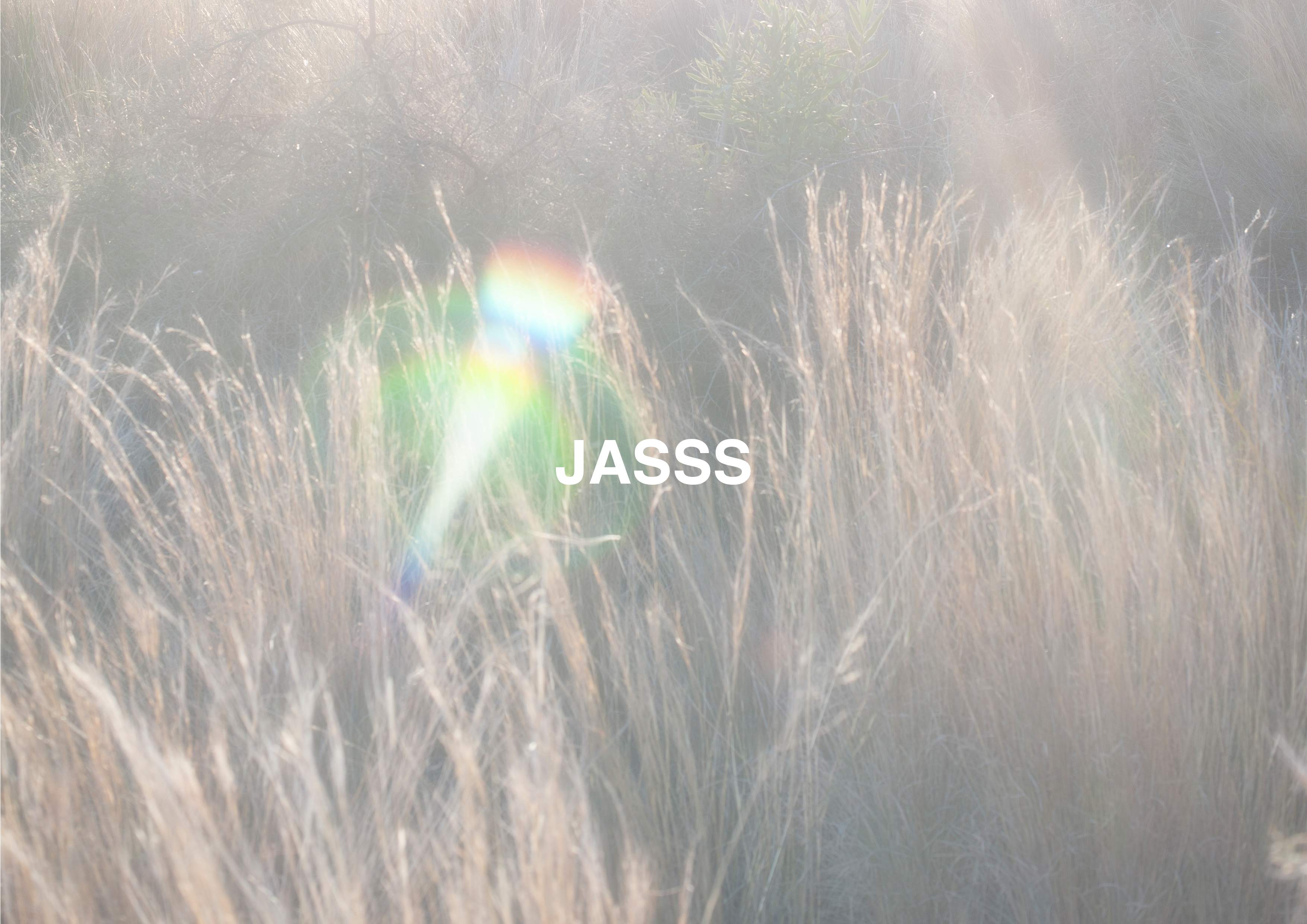 JASSS - Página frontal