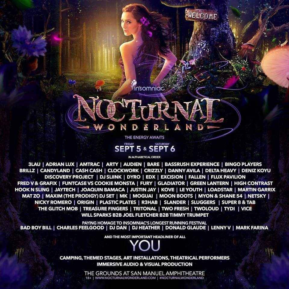 Nocturnal Wonderland - 20th Anniversary - フライヤー表