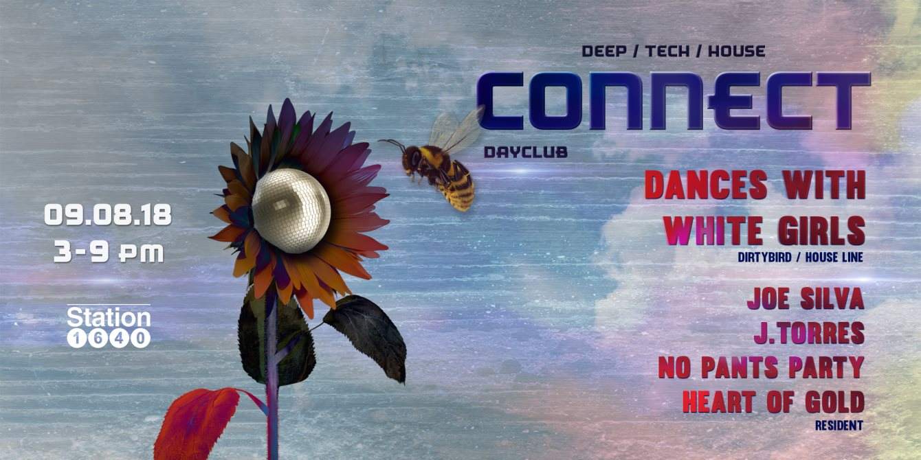 Connect (Day Party): Dances with White Girls, Heart of Gold, Joe Silva - フライヤー表