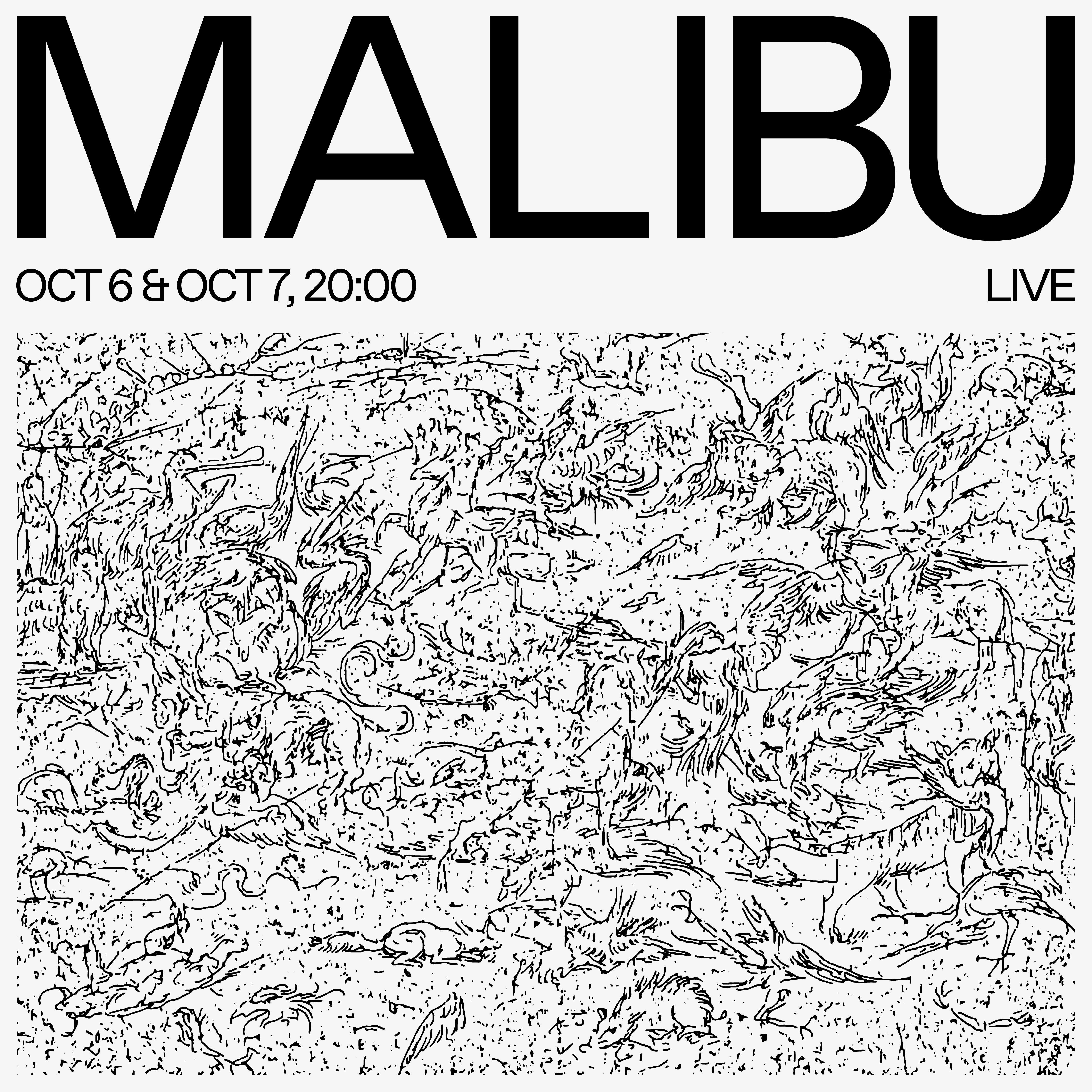 Malibu (LIVE) 2 - Página frontal