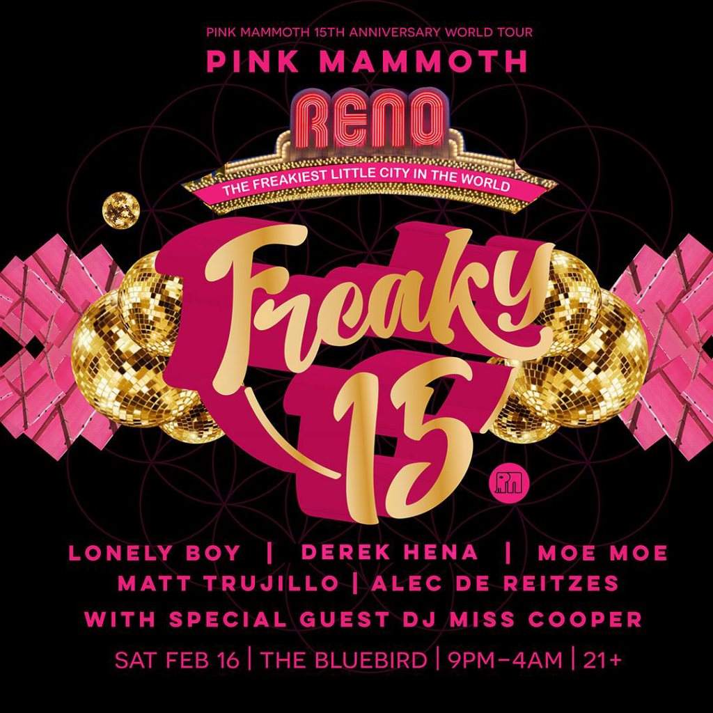 Pink Mammoth'S 15 Year Anniversary - フライヤー表