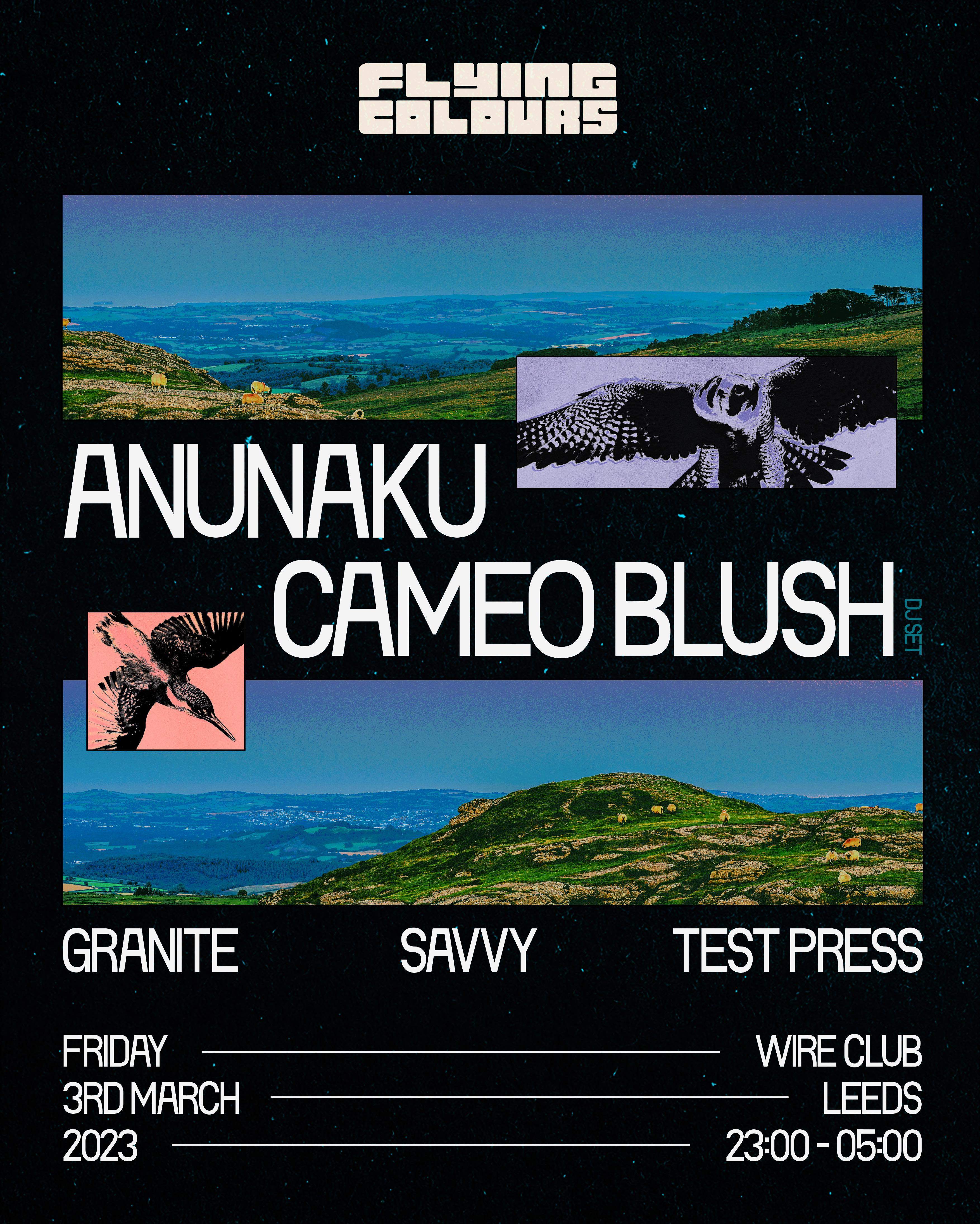 Flying Colours - Anunaku, Cameo Blush + more - Página trasera