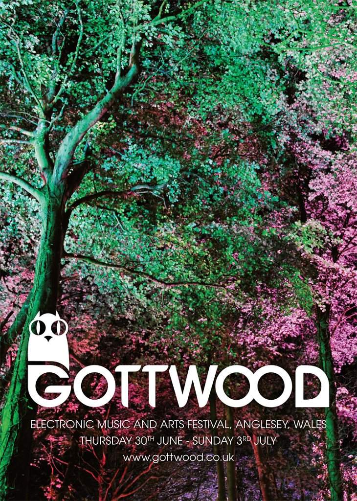 Gottwood Festival 2011 - フライヤー表