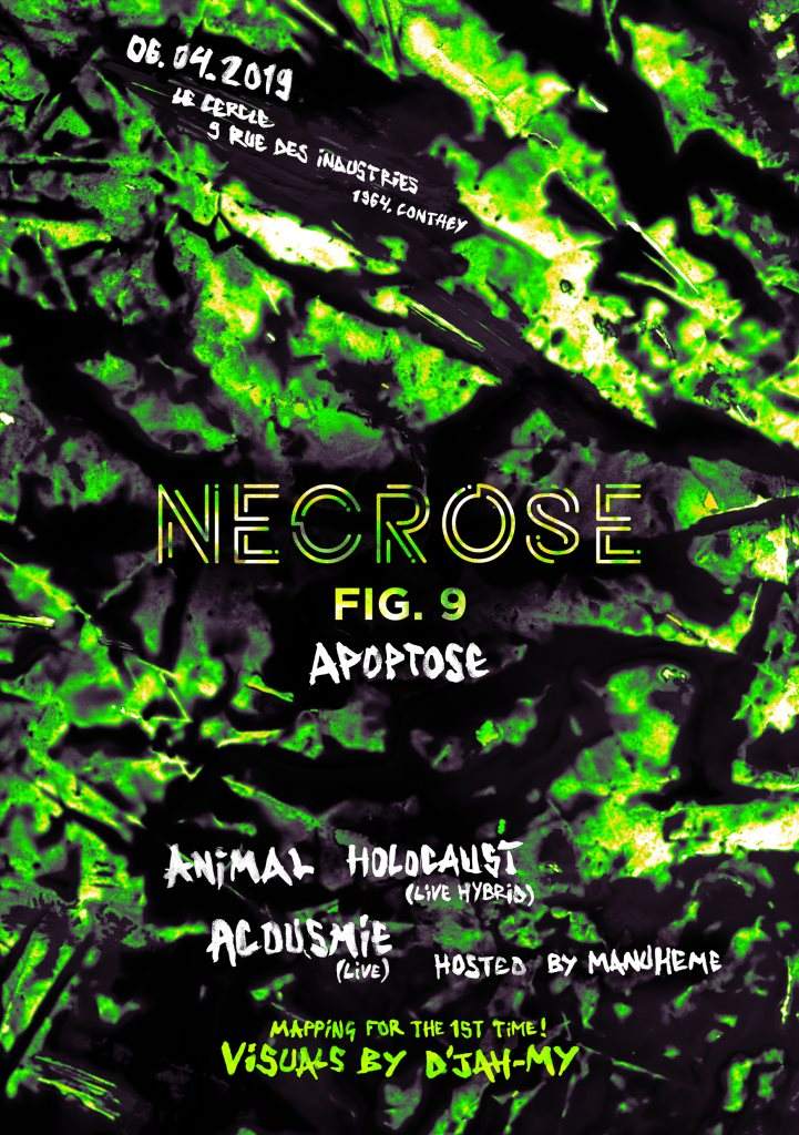 Nécrose fig.9 Apoptose - フライヤー表