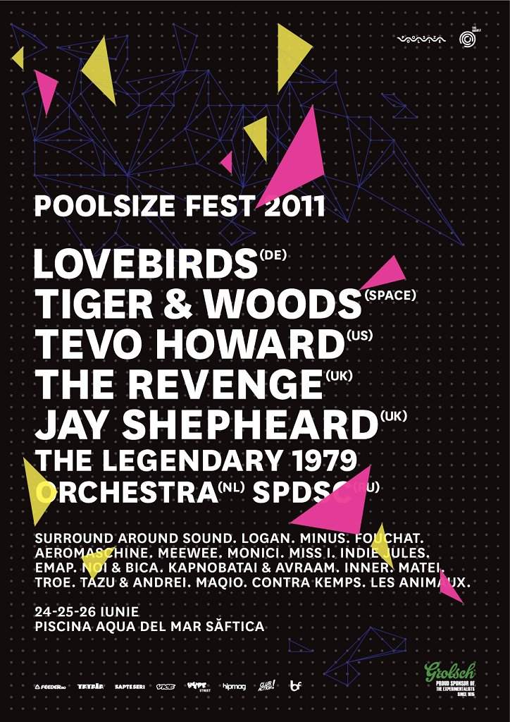 Poolsize 2011 - フライヤー表
