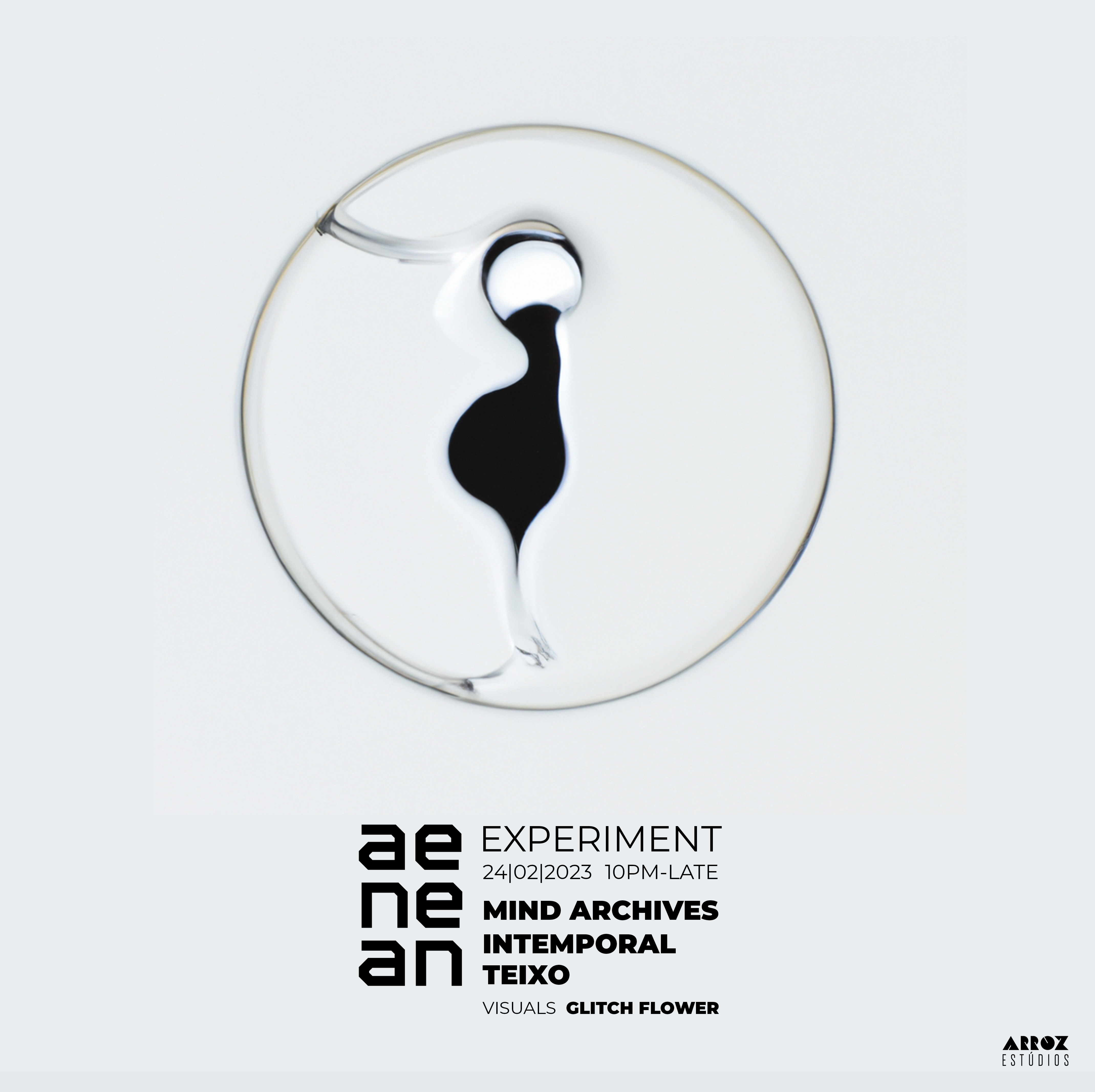 Aenean Experiment - フライヤー表