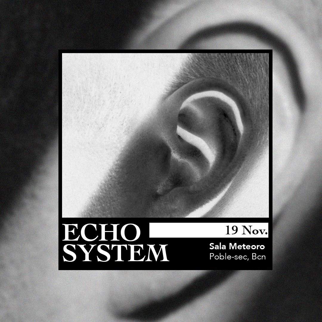 Echosystem - フライヤー表