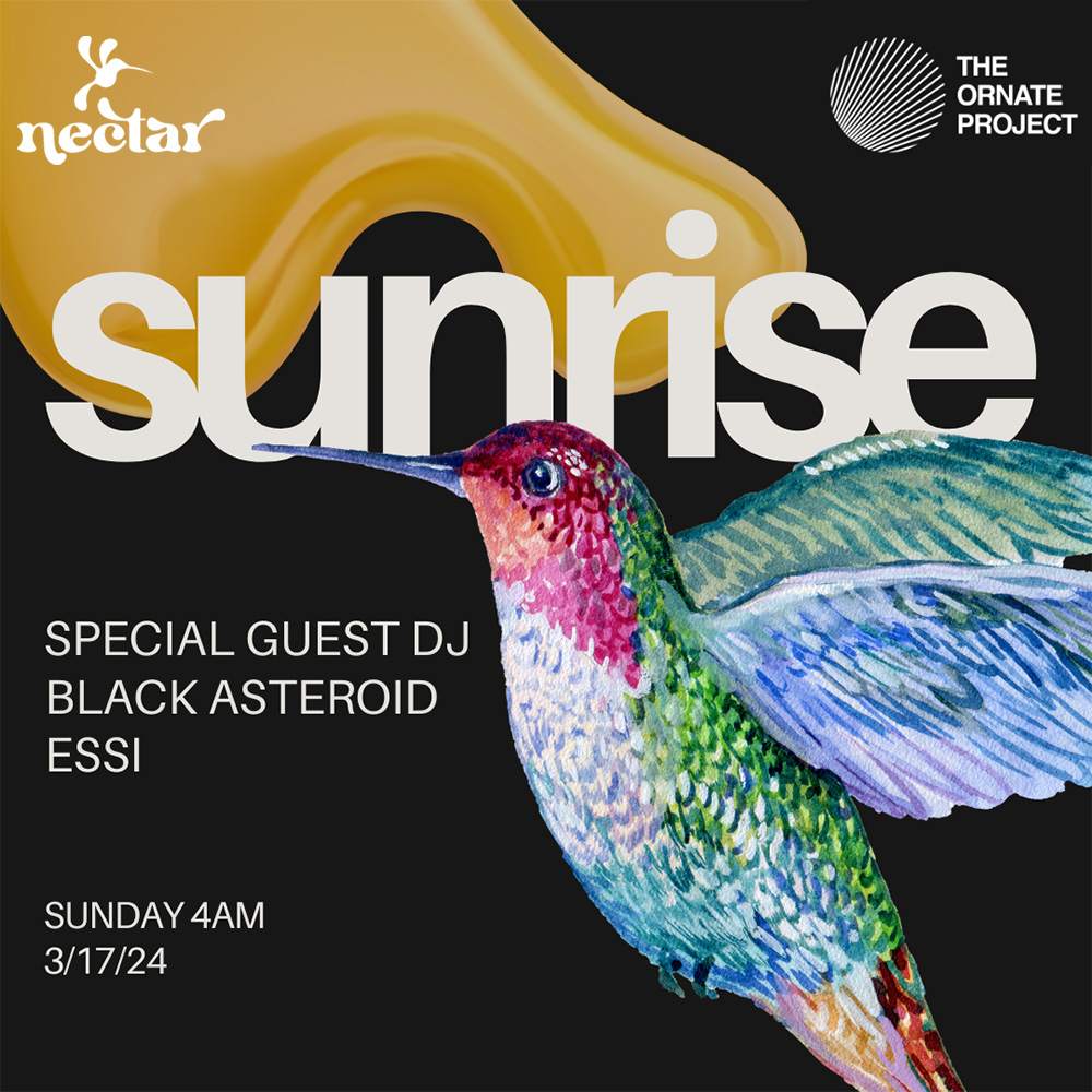 SUNRISE: Special Guest DJ, Black Asteroid, Essi - フライヤー表