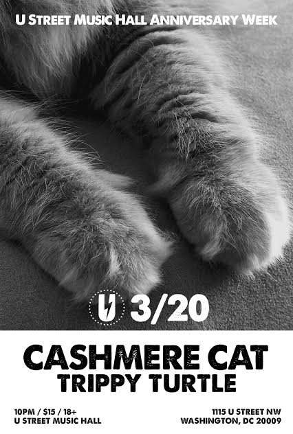 Sold OUT! Cashmere Cat with Trippy Turtle, Alex Young - Página frontal