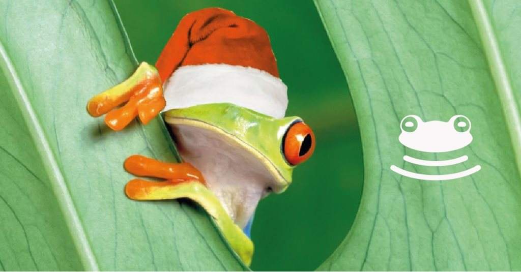 Frogbeats: Jungle All The Way (7th Birthday) - Página frontal